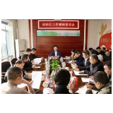 罗讯调研创新区工作