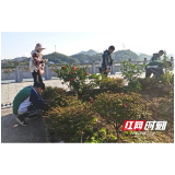 桃江四大实招抓实《长江保护法》学习宣传贯彻