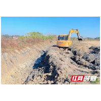 资阳区新桥河镇：高标准农田建设绘就乡村振兴新画卷