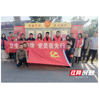 赫山区岳家桥镇：党员干部齐上阵 义务劳动显风采
