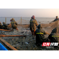 赫山：冬捕起鱼 东湖渔场预计出鱼70万斤