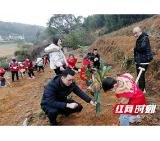 益阳共青团:植树活动别开生面 把绿色种在春天里