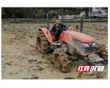 安化县滔溪镇：春耕备耕忙 不负好春光