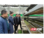 桃江:推广早稻机插机抛育秧