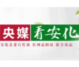 中国网 | 安化：再出发 推进安化黑茶高质量发展