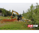 桃江县桃花江镇：重拳整治农村乱占耕地建房行为