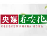 中国新闻网 | 安化：安化黑茶为产业集群数字化转型提供了典型示范