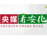 中国网 | 安化税务：开展“缅怀革命先烈 传承红色基因”党史学习教育