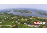 益阳市赫山区泉交河镇：坚持党建引领 赋能乡村振兴