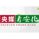 新华社丨安化：春茶上市采摘忙