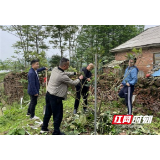 南县林业局：我为群众办实事 乡间庭院添新绿