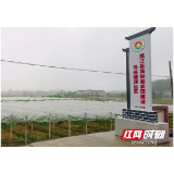 桃江：藏粮于地天下计 旱涝保收百姓安