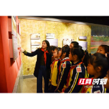 益阳市资阳区：高质量推进党史教育
