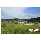 桃江鲊埠回族乡：一套振兴“组合拳” 描绘“回汉”新画卷