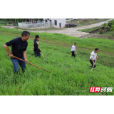 视频 | 益阳市大通湖区打响今年防汛第一仗