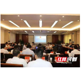 助力乡村振兴 桃江举行各界青年座谈会