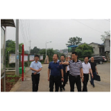 周卫星指导软弱涣散党组织整顿和调研乡村振兴工作