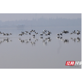 视频 | 益阳大通湖：从劣ⅴ类到“全省美丽河湖”