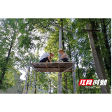 南县：点亮路灯照乡村 亮化工程暖人心