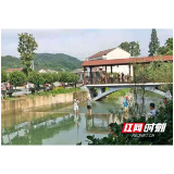 视频｜桃江马迹塘镇：小竹笋发展大产业