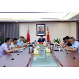 付振南主持召开书记专题会议 研究部署巡察工作