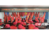 赫山区八字哨镇：队旗接起来 平安“益”起来