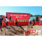总投资7.7亿元！桃江金易仓储物流产业园开工