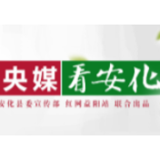 人民网 | 第五届湖南·安化黑茶文化节开幕式今天举行