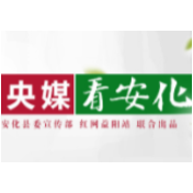 人民网 | 安化县供电公司：电力十足助力黑茶文化节