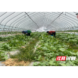 赫山：助力“高标准农田”建设 共筑美好乡村梦