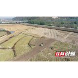 农发行益阳市分行：助力高标准农田建设 让“农闲田”变身“幸福田”