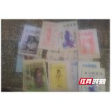 桃江一女子为“地下六合彩”写单落法网