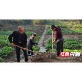 南县明山头镇：环境整治促“安居” 让易迁群众幸福扎根