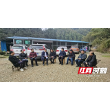 桃江：中央一号文件精神送农家