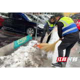 请战！南县退役军人志愿者投身除雪保畅战场