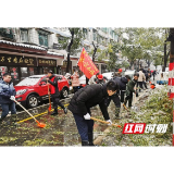 赫山桃花仑街道：“党”“团”合力战风雪