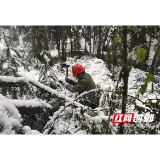 国网益阳供电公司：坚守风雪中的保电人