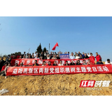 益阳高新区：乡村振兴党建引 两新助力植树忙