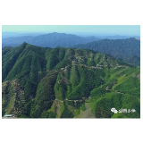 中国茶文化名山朝拜之旅——安化芙蓉山