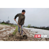 赫山区龙光桥街道：青年致富带头人 乡村振兴女能手