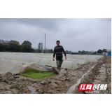赫山欧江岔镇：组长化身“领头雁” 春耕注入“硬核力”