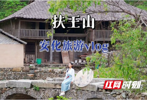 安化攻略VLOG丨山花烂漫有多美？安化扶王山杜鹃怒放进行时
