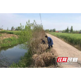 南县浪拔湖镇：扎实推进河长制 守护碧水美家园