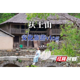 安化攻略VLOG丨山花烂漫有多美？安化扶王山杜鹃怒放进行时