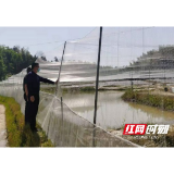 赫山：靠前督查 打响耕地保卫战