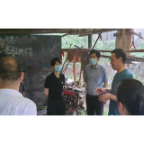 黄瑛带队督导检查城区自建房安全工作