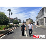 赫山区新市渡镇：交流互鉴拓思路 示范建设添动力