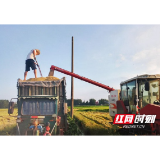 南县麻河口镇：早稻开割 奏响乡村“振兴曲”