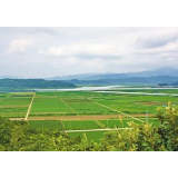 益阳召开全市耕地保护和月清“三地两矿”调度会