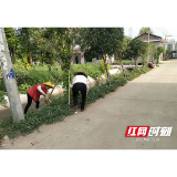 南县中鱼口镇：大力整治人居环境 打造生态宜居乡村